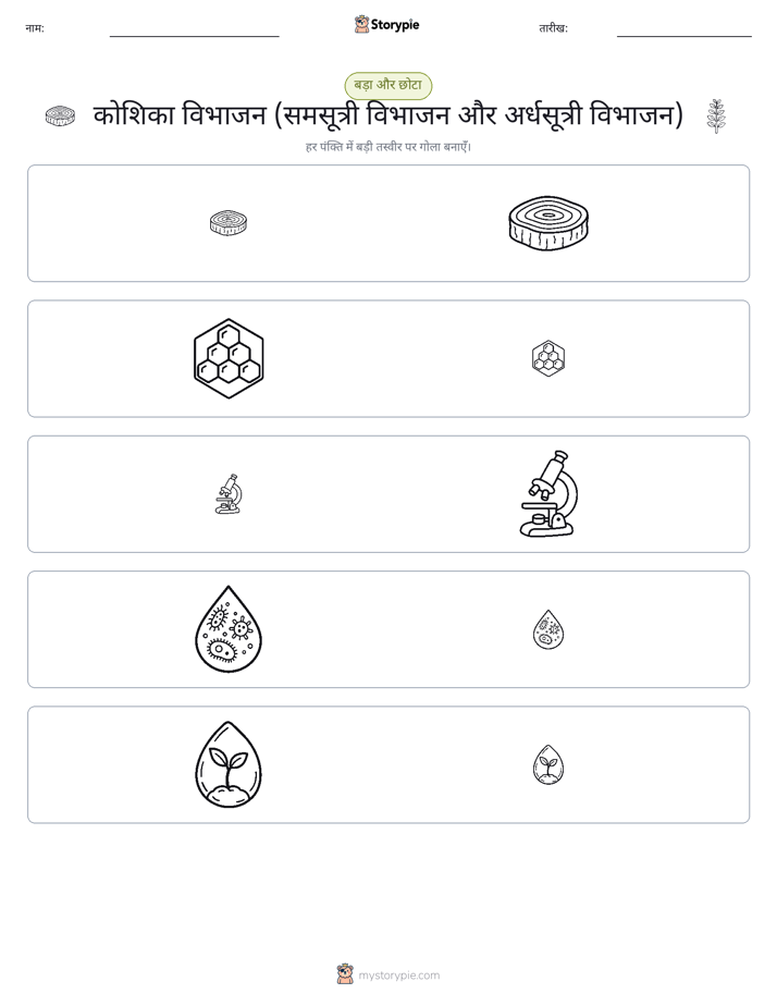 छंटाई
