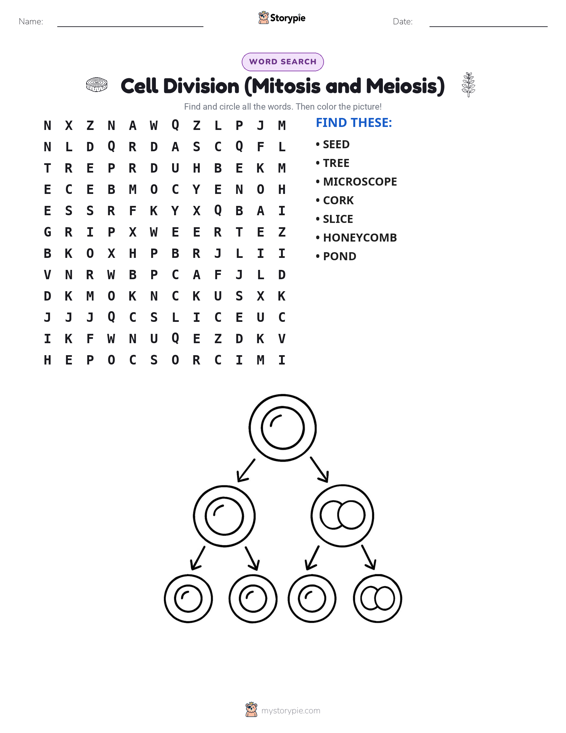 Word Search