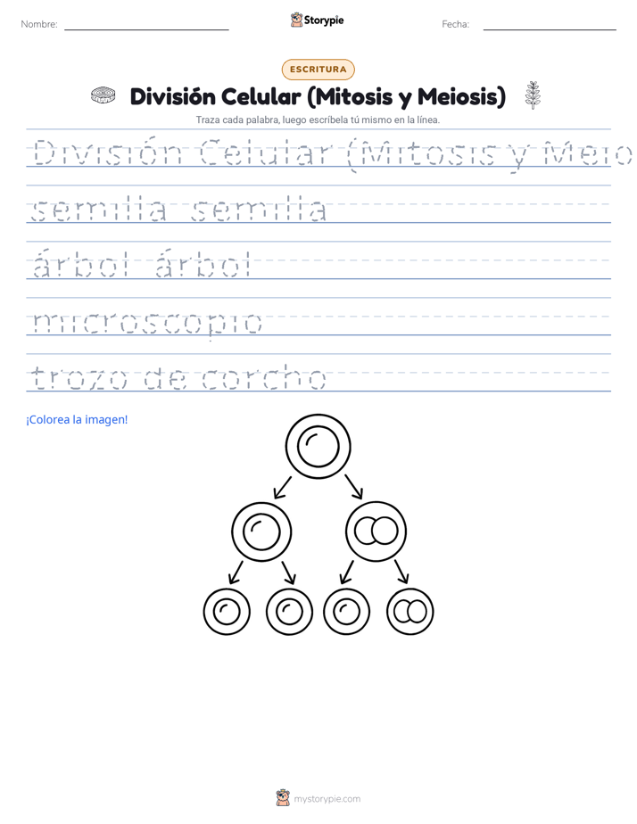 Práctica de Escritura