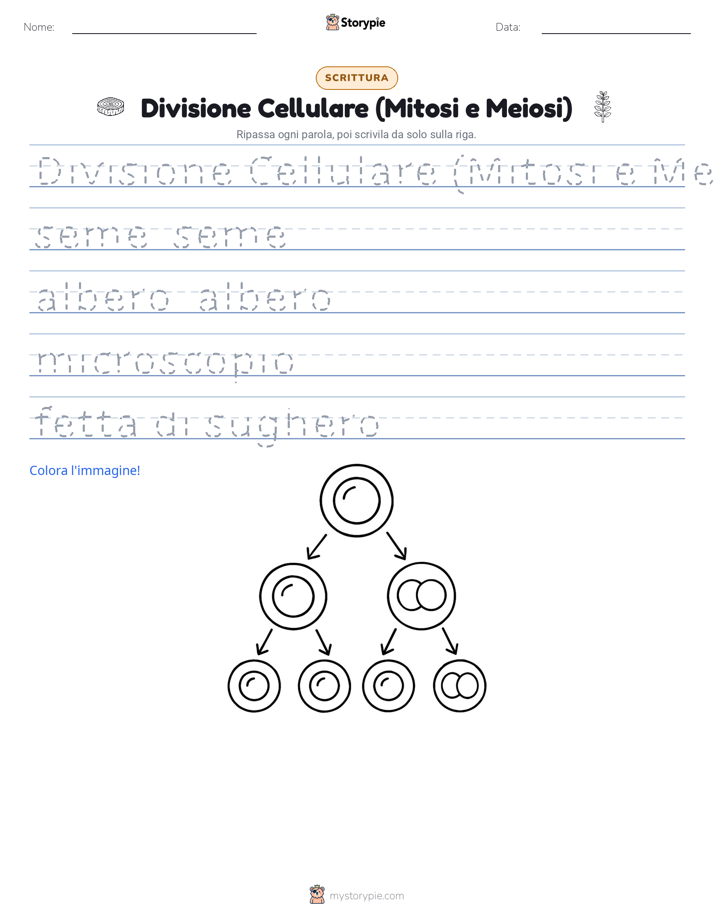 Pratica di Scrittura