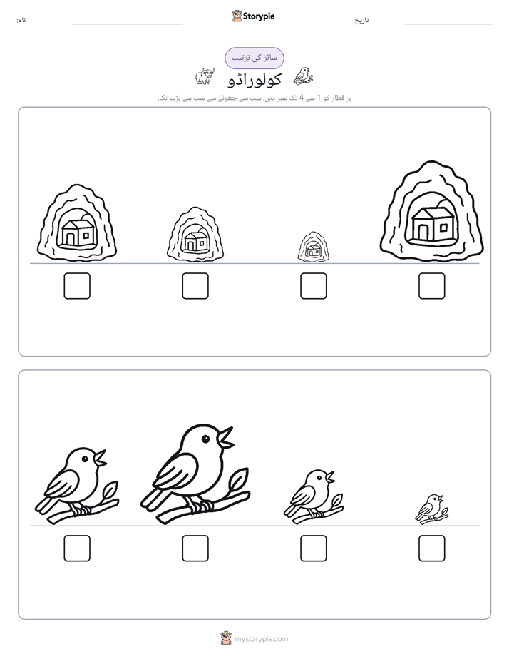 سائز کی ترتیب