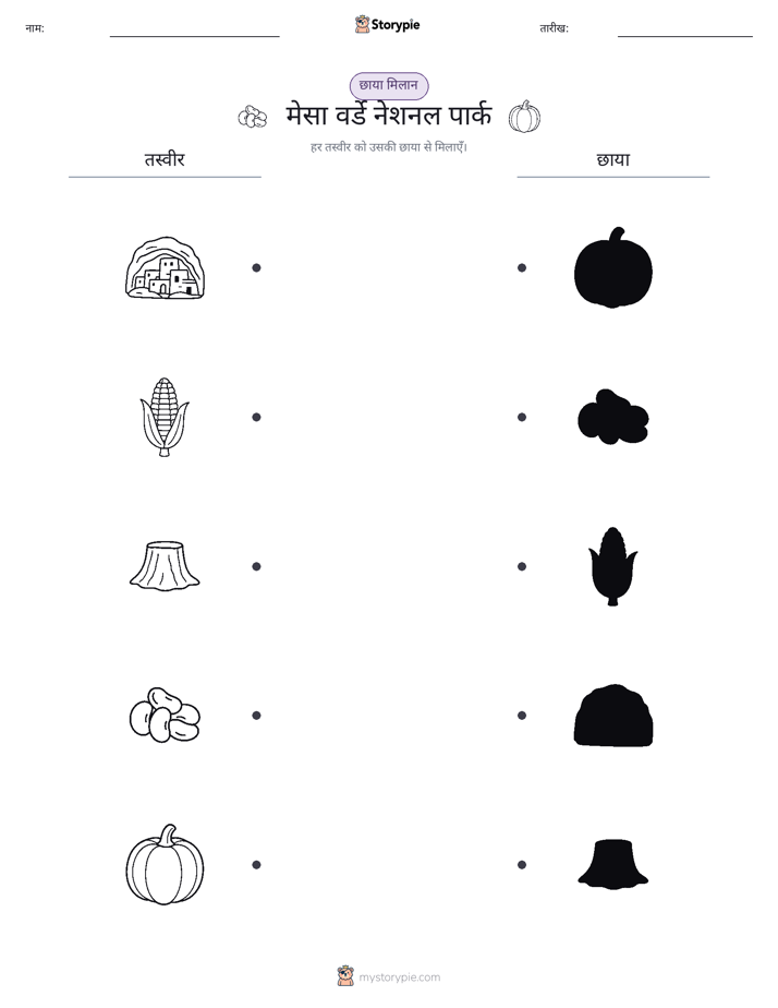 छाया मिलान