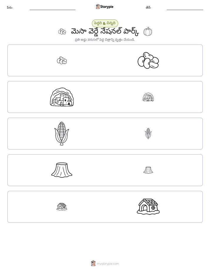 వర్గీకరణ