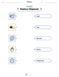 Eastern Chipmunk printable worksheet for kids