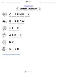 Eastern Chipmunk printable worksheet preview