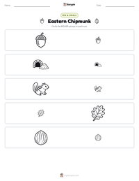 Eastern Chipmunk printable worksheet preview