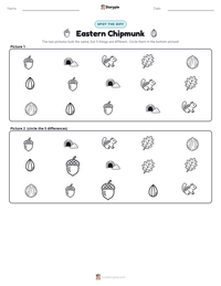 Eastern Chipmunk printable worksheet preview