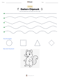 Eastern Chipmunk printable worksheet preview