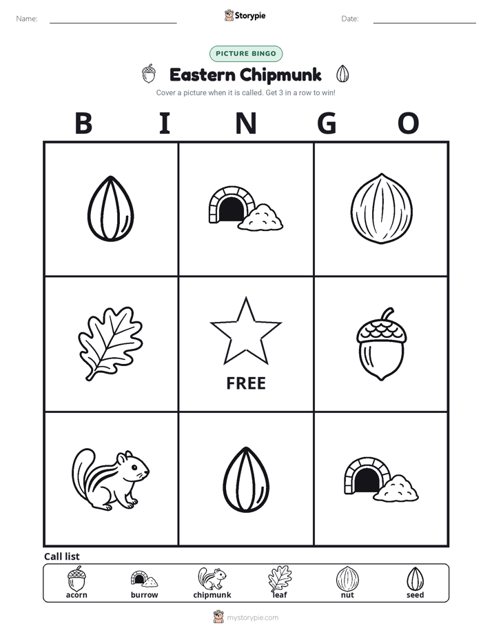 Picture Bingo