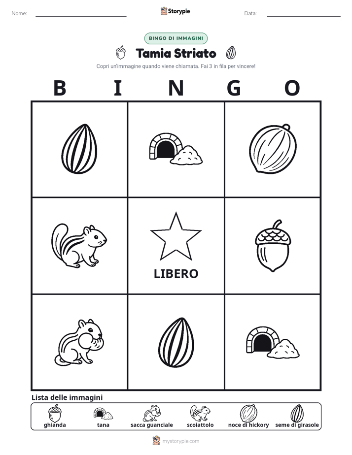 Bingo delle Immagini