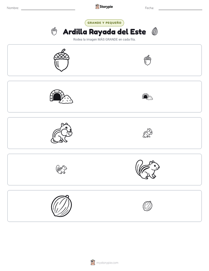 Clasificación