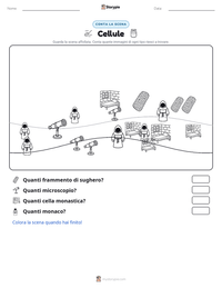 Anteprima della scheda stampabile di Cellule