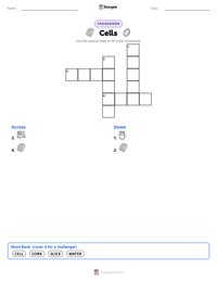 Cells printable worksheet preview