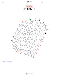 Cells printable worksheet preview