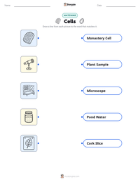 Cells printable worksheet for kids