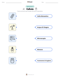 Scheda stampabile di Cellule per bambini