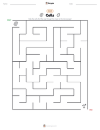 Cells printable worksheet preview