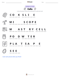Cells printable worksheet preview