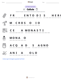 Anteprima della scheda stampabile di Cellule