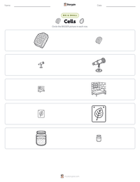 Cells printable worksheet preview