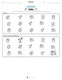 Cells printable worksheet preview