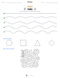 Cells printable worksheet preview