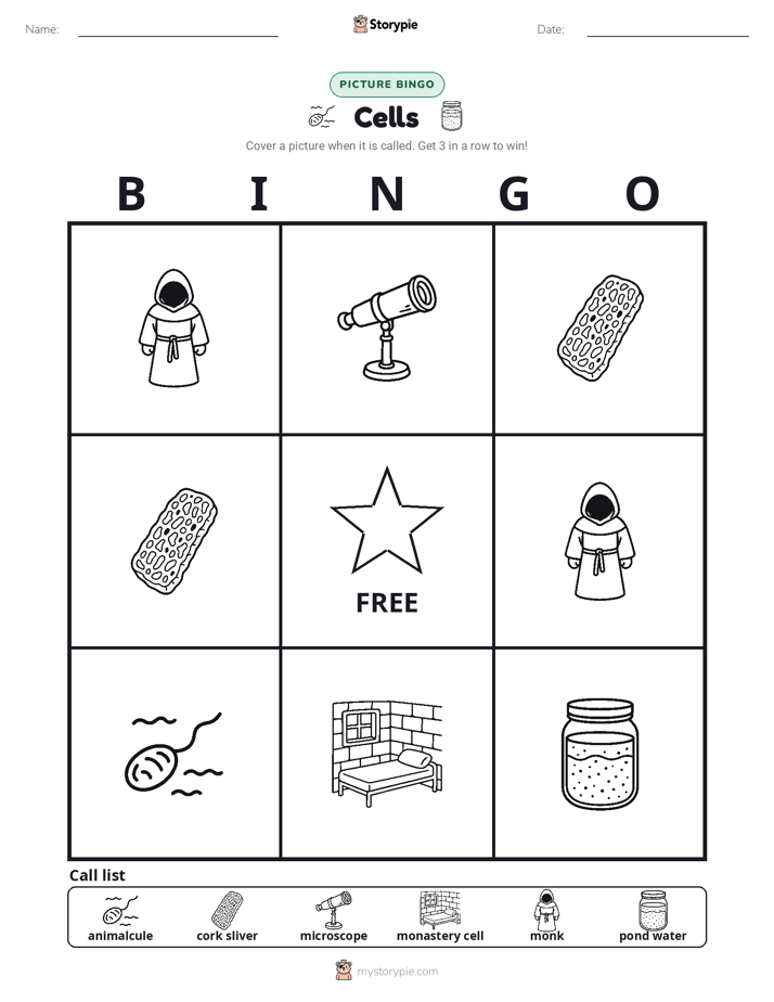Picture Bingo