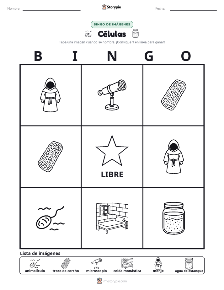 Bingo de Imágenes