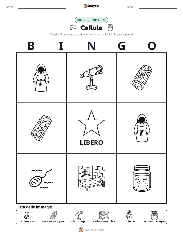 Bingo delle Immagini
