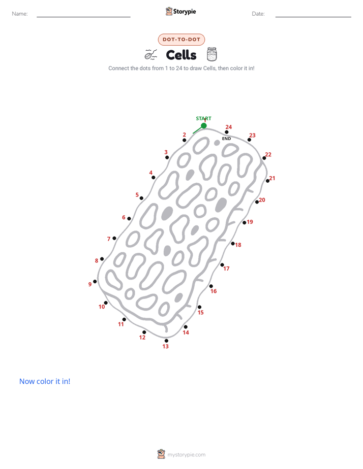 Dot to Dot