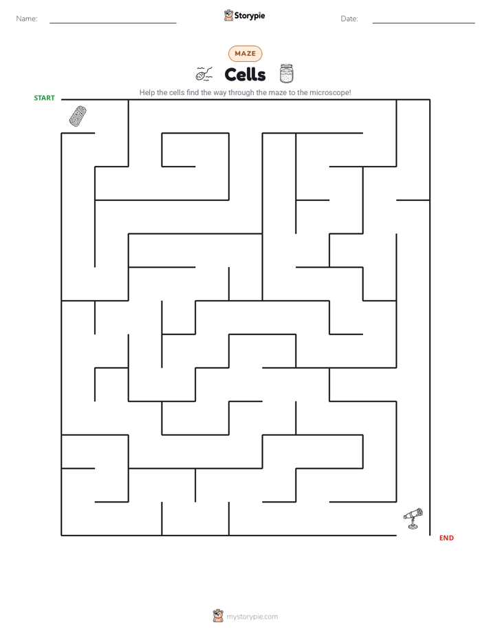 Maze