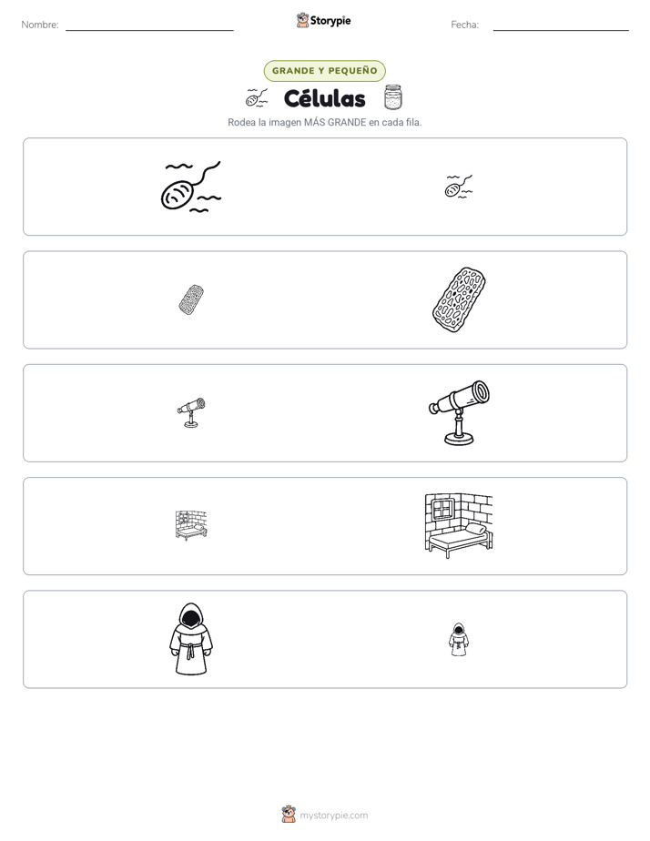 Clasificación