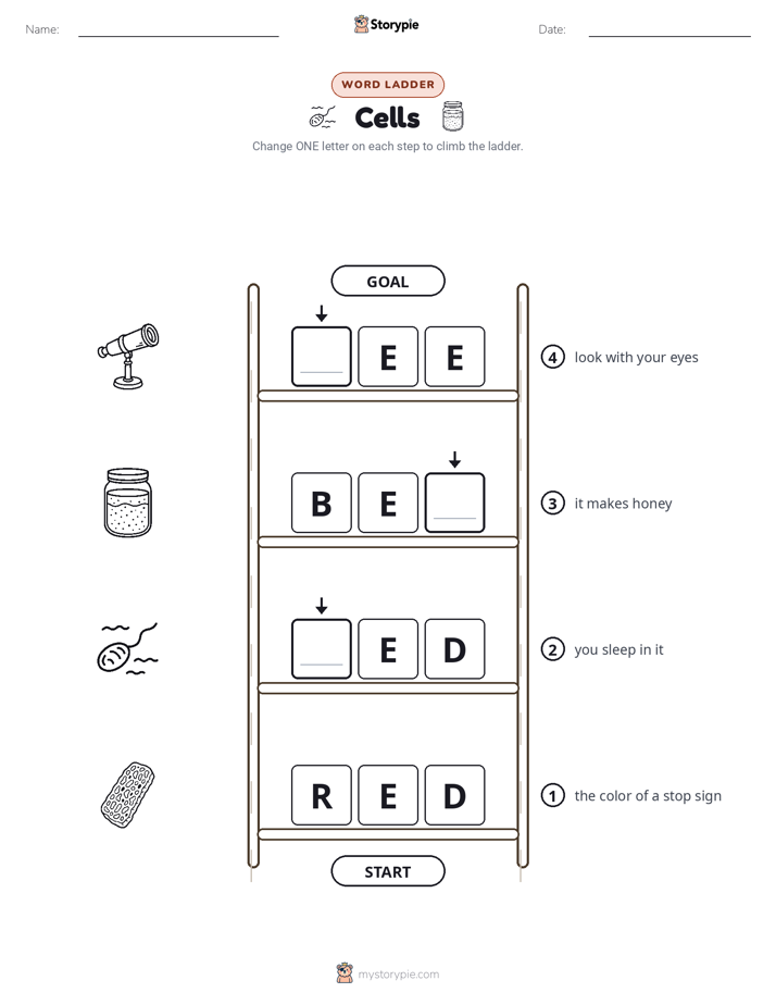 Word Ladder
