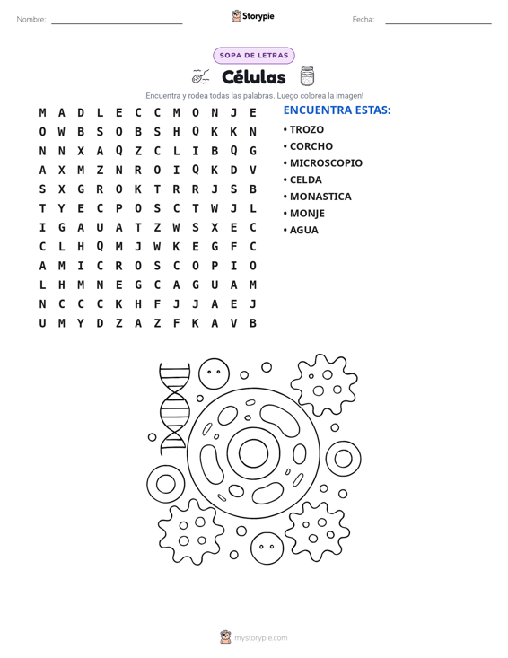 Sopa de Letras