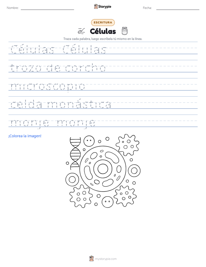 Práctica de Escritura
