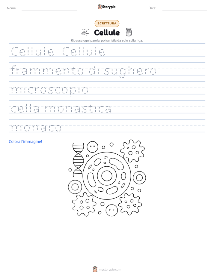 Pratica di Scrittura