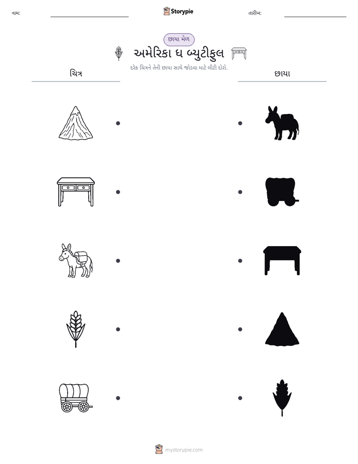 શેડો મેચ