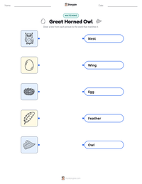 Great Horned Owl printable worksheet for kids