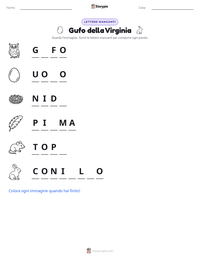 Anteprima della scheda stampabile di Gufo della Virginia