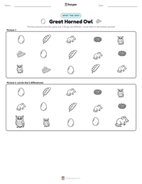 Great Horned Owl printable worksheet preview