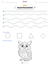 Great Horned Owl printable worksheet preview