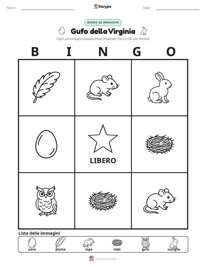 Bingo delle Immagini