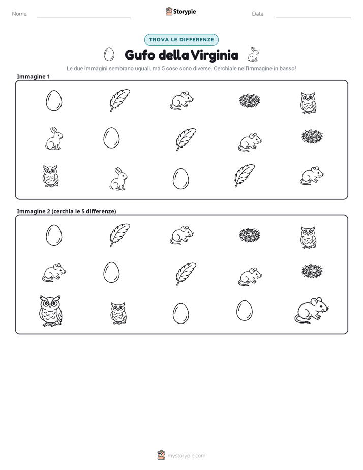 Trova le Differenze