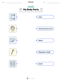 My Body Parts printable worksheet for kids