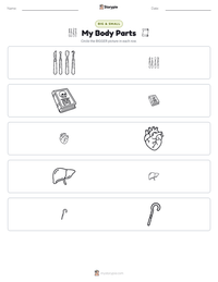 My Body Parts printable worksheet preview