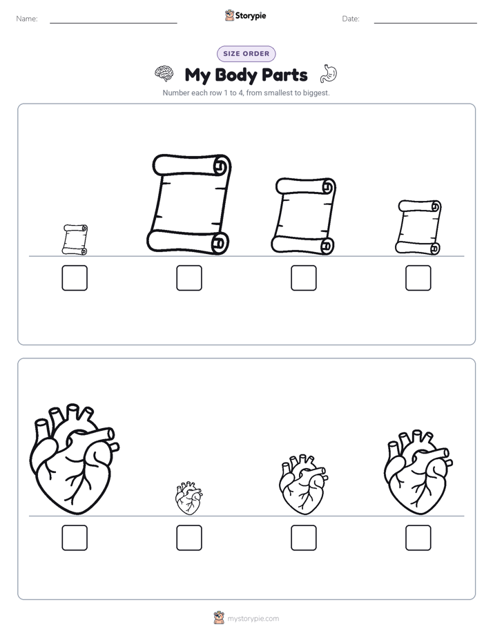 Size Order