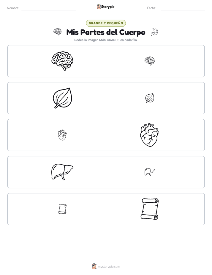 Clasificación