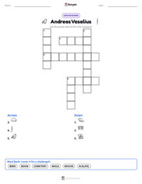 Andreas Vesalius printable worksheet preview