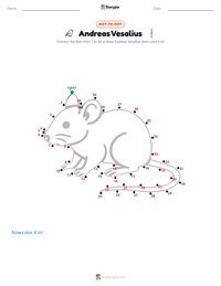 Andreas Vesalius printable worksheet preview