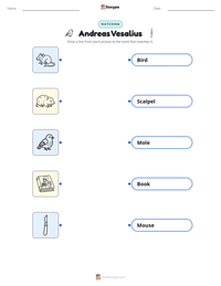 Andreas Vesalius printable worksheet preview